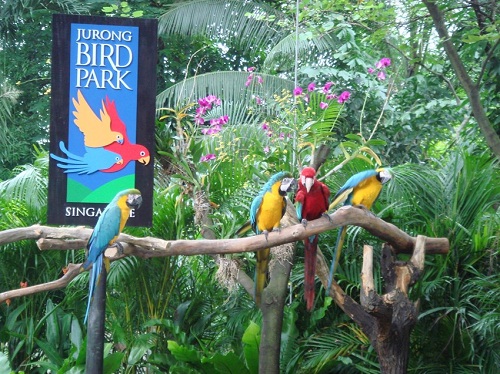 Vườn thú Singapore